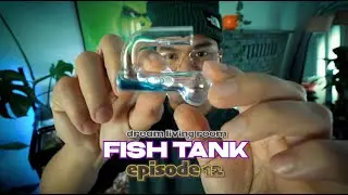 Easy CO2 Monitoring: The Importance of CO2 Drop Checker in my 75 Gallon Fish Tank | Episode 12
