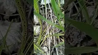 VID 20190428 134205