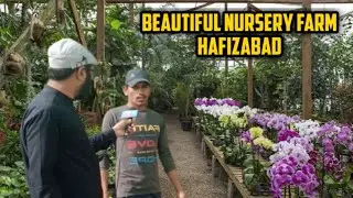 nursery business /nursery farm /nursery plants /farming in pakistan/beautiful plants
