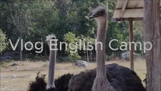 Vlog English Camp with WTH Group