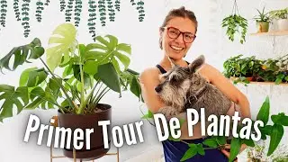 Primer Tour de Plantas en el Nuevo Depa 🪴🌵