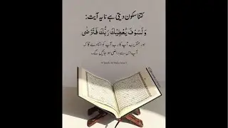 https://www.youtube.com/@Daily_delights7