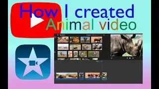 Youtube video creation using iMovie - African Animals video creation