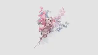 Siapan - qualm