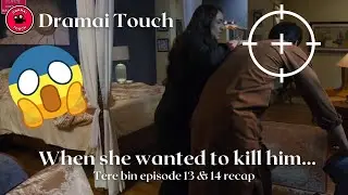 Top Trending Pakistani Drama Tere Bin Quick Recap Episode 13 & 14 {ENG SUB} Yumna Zaidi - Wahaj Ali