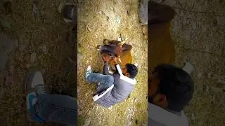 Gau Rakshaks vs. Cow Smugglers |A Battle for Justice