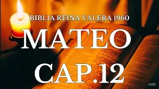 Biblia Hablada-BIBLIA REINA VALERA 1960 MATEO CAP 12