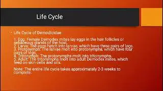 Demodicidae, An Overview by Aqeel Abbas #petcareservices #animalwellness #petwellness #biology