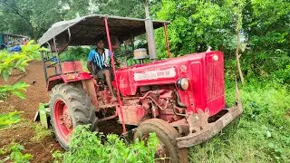 Mahindra 575 di tractor goes to rotavator performance in farmland plants @Mohantractorslife