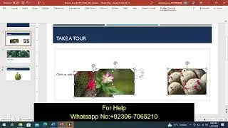 Exp19_PowerPoint_Ch04_ML2_Garden | PowerPoint Chapter 4 Mid-Level 2 - Garden | PEARSON MYITLAB