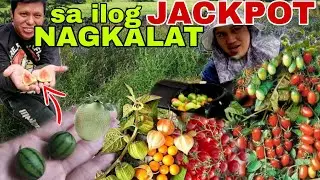 Andami📌Prutas na ibat iba nagkalat sa ilog na ito at malaking isda nakahuli