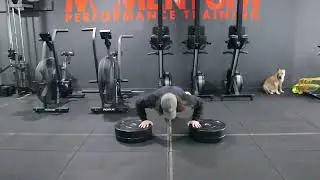 Plate Push Up