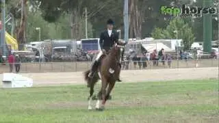 Royal Canberra Show 2013 - Champion Hack