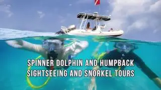 Dive Oahu Inc. - PADI 5 Star Scuba Diving In Oahu Hawaii