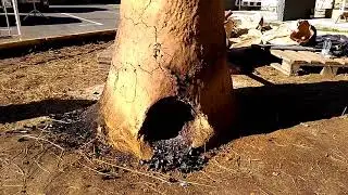 D&eacute;monstration de bas fourneau