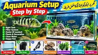 How to Create a Fish Aquarium at Home | Complete Step-by-Step Guide