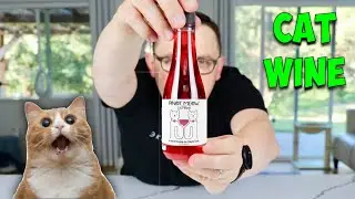 I Bought a CAT WINE for My Cat