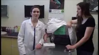 Vet School Parody -  Shake It Off