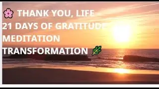 🌸 THANK YOU, LIFE &ndash; 21 DAYS OF GRATITUDE MEDITATION TRANSFORMATION 🌿