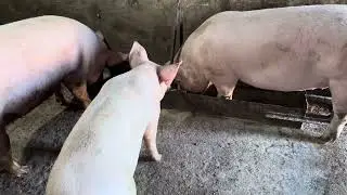 Давненько не снимал
