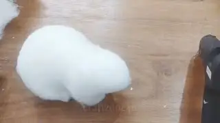 How to make cute rabbit , zero waste,