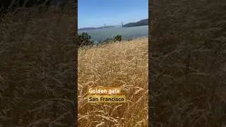 Golden gate #usa #2023 #сша #калифорния #california #тихийокеан #yacht #санфранциско