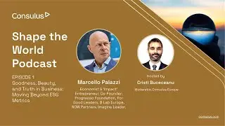 EP1 | Shape the World Podcast | Goodness, Beauty,  and Truth in Business: Moving Beyond ESG Metrics