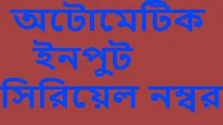 Automatic Input Serial Number