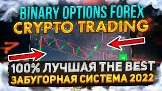 Лучшая Система 2024 Трейдинг Бинарные опционы форекс крипто  Binary options Crypto Trading Forex
