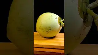 Perfect ASMR | Coconut Cutting Skills #fruit #coconut #cuttingskills #asmr #shorts