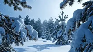 Snow Ambience for Relaxation | Peaceful Winter Sounds for Study & Sleep