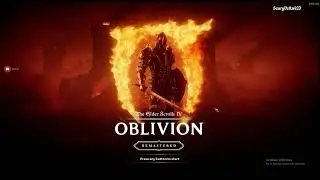 Oblivion Remastered Stolen item tag removal Glitch with multiple item workaround!