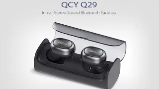QCY Q29
