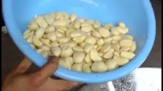 Mashed Garlic Grinding Machine|Garlic Butter Grinder