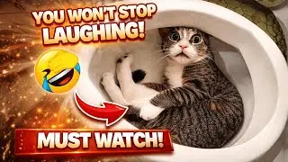 Before Deleted! Must Watch 😱🔥 | Viral Pet Moments So Funny You Can&rsquo;t Stop Laughing 😂