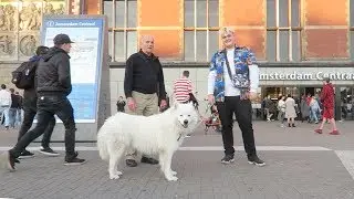 een video door stuntje
