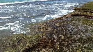 Bopitiya beach(3)