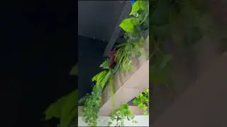 Озеленение от gewas-green.ru