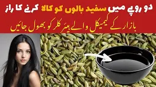 Natural Black Hair Dye| Instant Black Hair Dye| Grey Coverage