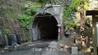 A fraud (ｱ ﾌﾛｰﾄﾞ) ｲﾝｽﾄﾙﾒﾝﾀﾙ