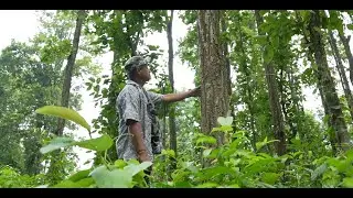 Understanding SAGE: A guide to equitable forest governance