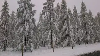 Rare April snowstorm clobbers Northeast