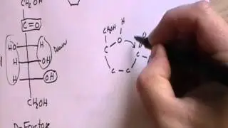 CHEM 1060 Lecture 052 Cyclic Forms of Monosaccharides