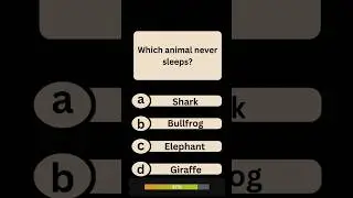 Which animal never sleeps? #quiz #quiztime #quizchallenge #quizapp #fyp #fypシ゚viral