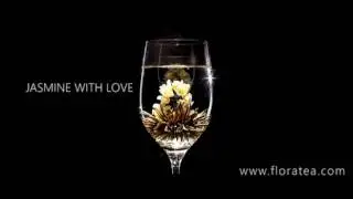 FLORA TEA Presentation - as Featured on BBC Dragon's Den (#FloraTea #LifeIsBeautiful)