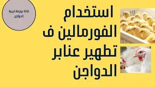 تعقيم وتطهير عنبر الدواجن بالفورمالين  وقتل الفيروسات (اليود-الكلور_الصودا الكاويه_فاركون اس_الجير)2