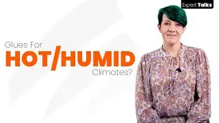Expert Talks #10: What Hairpiece Glues Are Best For Hot, Humid Climates?