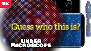AMOLED Video Under Microscope