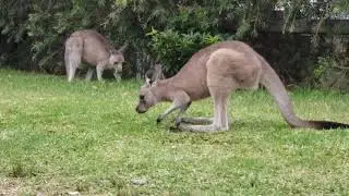 OMG Beach Cottage Check In | North Durras NSW