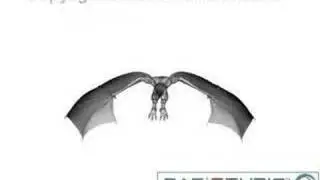 Wyvern Flight